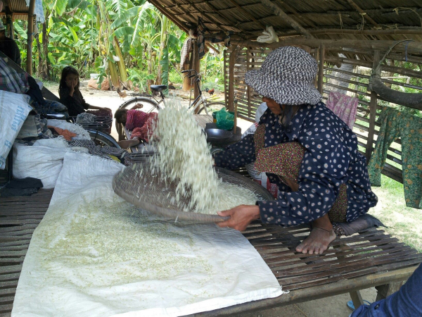 It's that time of year in Cambodia - thinks Sokley